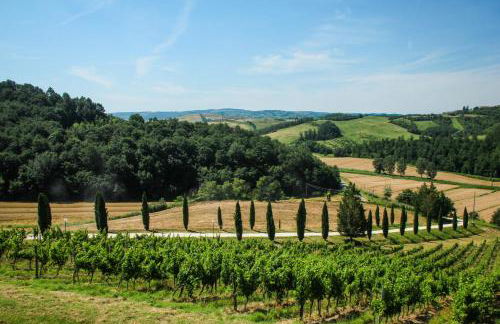 Colle Bertini - Foto 32