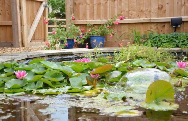 The Knox - Beautiful Two Bed Cottage Near Orford - Foto 21