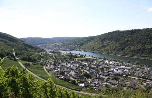 Ferienwohnungen im Moseltal - Foto 58