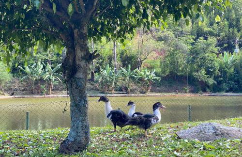 Hotel Fazenda Bonanza - Foto 45