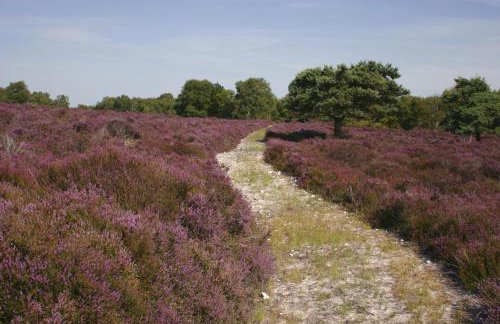 3 Bed in Middleton oc-fdp - Foto 22