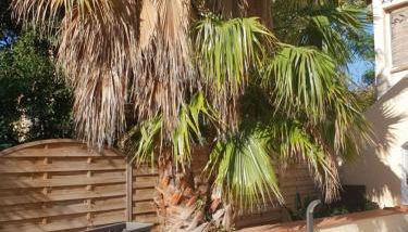 meublé au calme à 1 minute de la plage - Foto 2