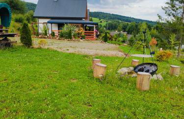 Domki w Bieszczadzkiej Dolinie - Foto 57