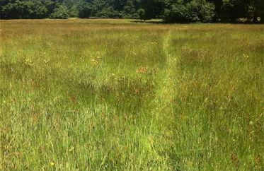 Wye Valley near Tintern Abbey Charming cottage within farmhouse Rocklea Farm,Broadstone, Trellech Monmouthshire - Foto 31