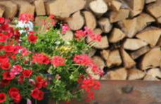 Le Barlèt23 pers Hameau des Chazals Nevache Hautes Alpes - Photo 15