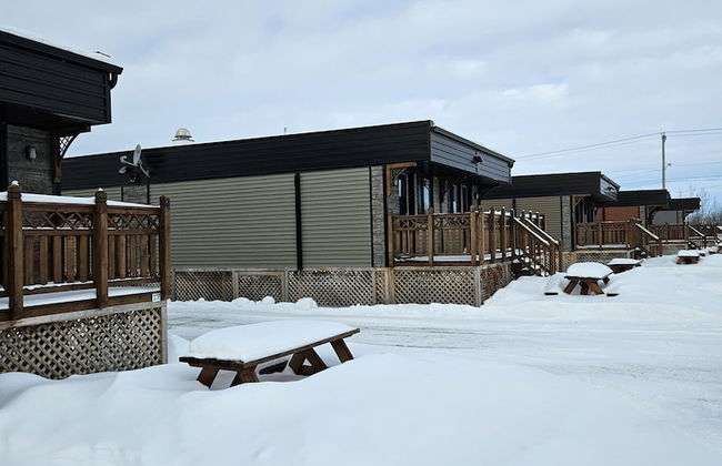 Parc Octopus - Foto 35