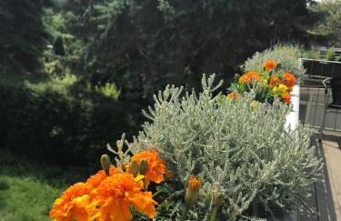 Apartmenthaus Sonnen - Foto 8