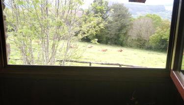 La Posada de Oscos - Foto 5