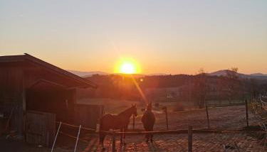 Woferlhof, Ferienhof Boxhorn - Foto 2