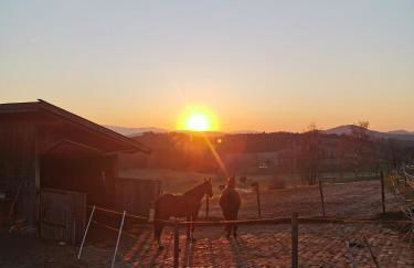 Woferlhof, Ferienhof Boxhorn - Foto 2