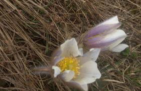 Giuditta FreeCarPark&Garden - Photo 47