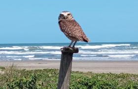 Casa bem te vi - Foto 70