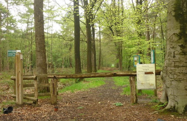 Family Home With Garden - Photo 38