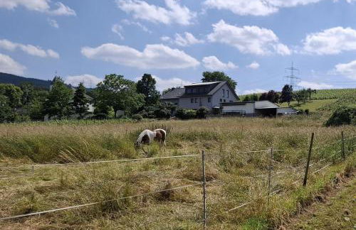Ferienwohnung "Auf Plandert" - Foto 21