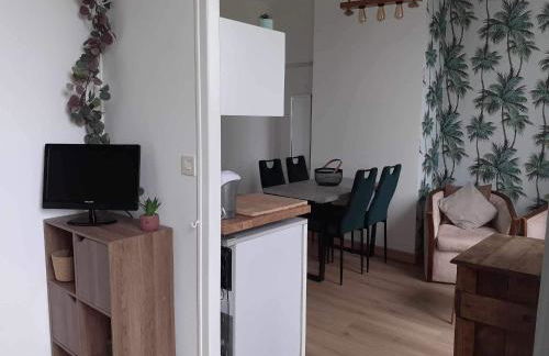 Studio 400m de la mer - Foto 7