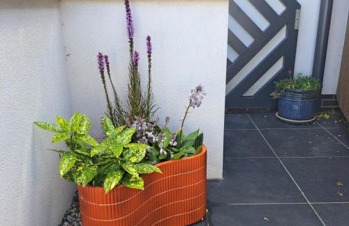 The Shutter House - Foto 22