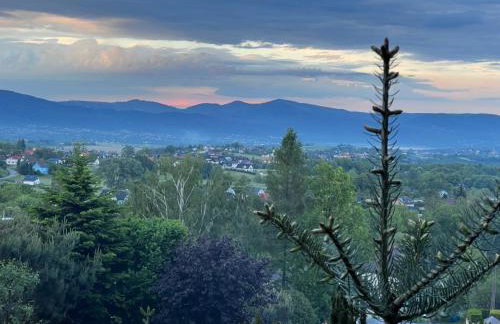 Domki Habzówka - Foto 24