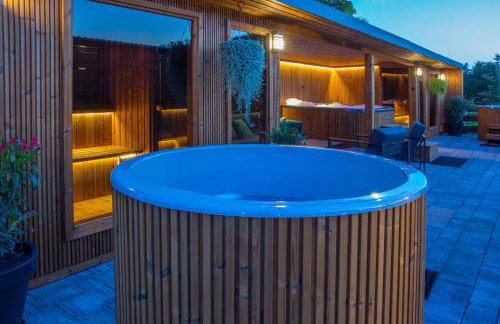 Kamień i Sowa - Foto 2