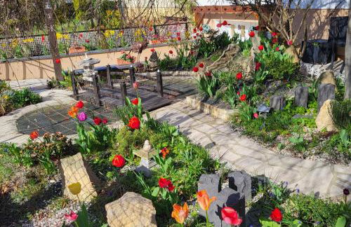 Studio Colmar avec jardin privatif - Foto 3