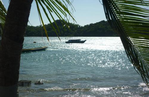 Abelha & Peixe Boi - Photo 19