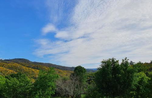 Quinta de Cerdeiró - Foto 14