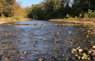Collier Cabin on Collier Creek - Foto 67