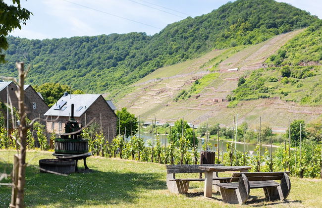 Haus Junge Traube - Photo 36