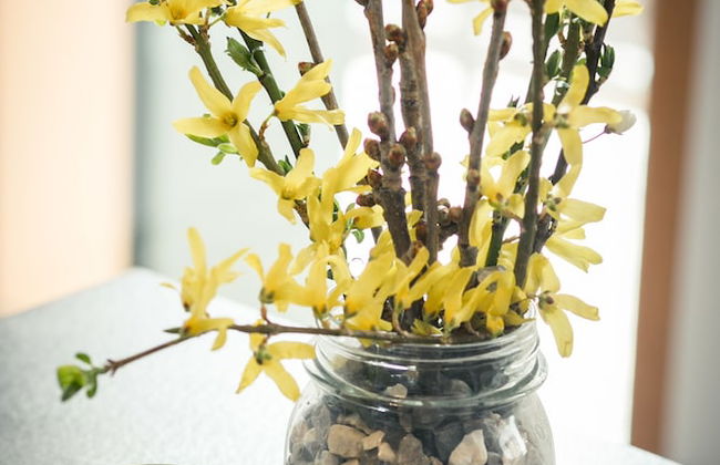 Agriturismo Mestroni - Photo 3