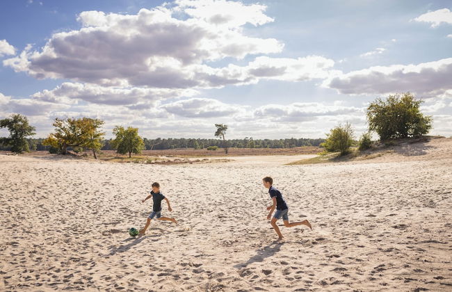 Camping Marvilla Parks Kaatsheuvel - Photo 12