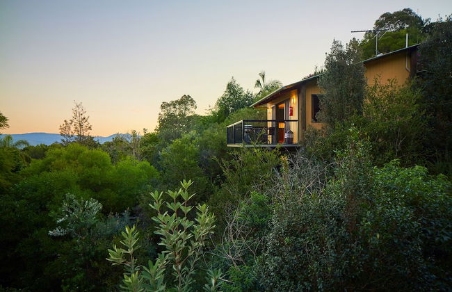 Dayboro Cottages - Photo 17