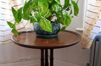 The Pearl-Lovely Victorian Home with Bed and Breakfast Energy - Foto 16