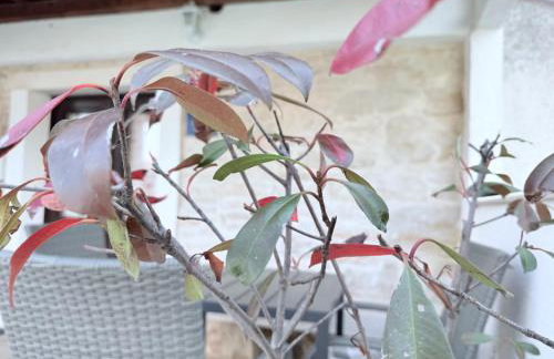 Casa Pietra 27 , Authentic Istrian Stone House - Foto 4