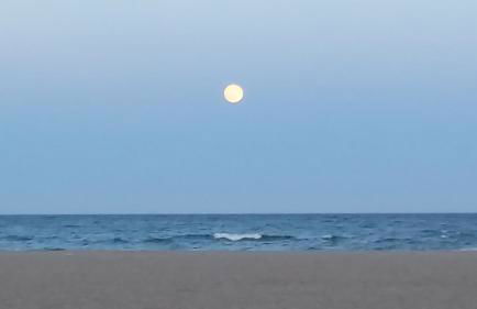 Ampuries Delta Apartment - Foto 49