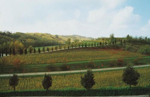 Relais Russiz Superiore - Foto 43