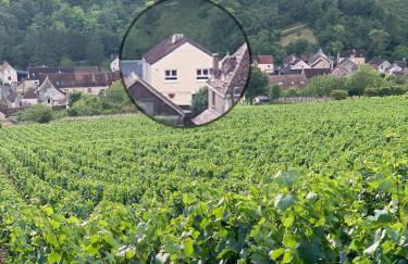 Maison de campagne entre vigne et bois - Foto 11