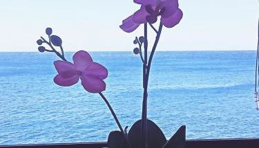 Apartamento en primera línea de mar - Foto 2