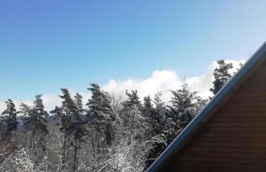 Gite Le Chalet SaintAnthème / Prabouré - Foto 10