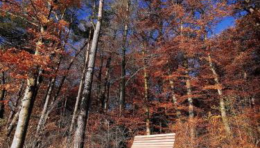 Idyllische Ferienwohnung nahe Nürburgring - Foto 3