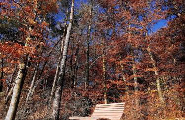 Idyllische Ferienwohnung nahe Nürburgring - Foto 3