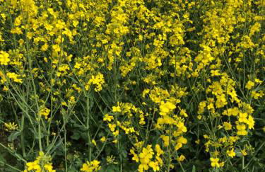 Peeneurlaub - Foto 33