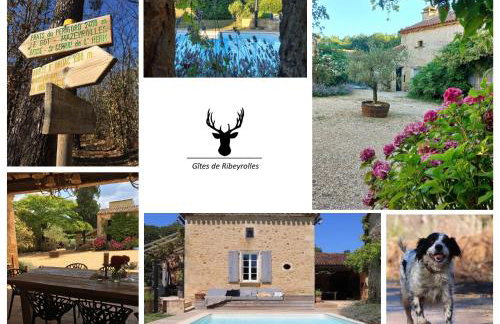 La Bergerie - Foto 1