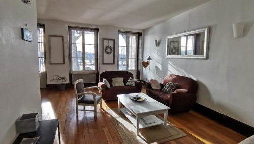 Appart Gîte Les Oiseaux- face Loire Quai du Châtelet - Foto 2