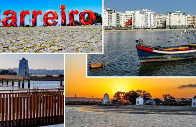 Vila Natura - Foto 76