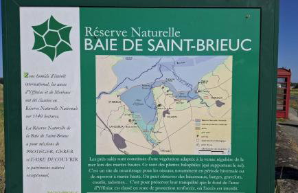 O nid des greves - Foto 36