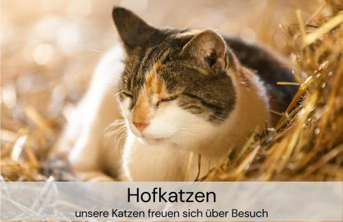 HexenburgbeiDresden mit Faßsauna Stylishes Designerappartement mit Schlafsofa, Terrasse - Nähe Sächsische Schweiz Dresden - Foto 25