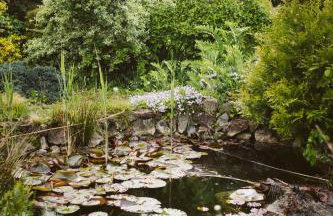 Agroturystyka u Miłosza - Foto 39