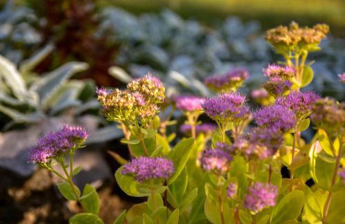 Apartman Grabar - Foto 28