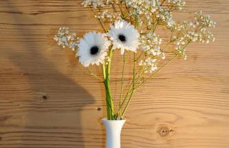 Ferienwohnung "Liftblick 1" im Kurort Altenberg - Foto 12