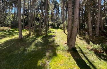 Apartamento Masella pie de pistas. Ideal familias - Foto 38