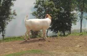 Familiehuis Dolve - Foto 117